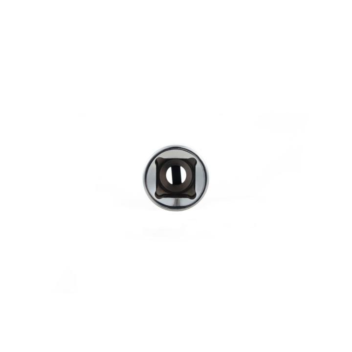 Image of SC12917